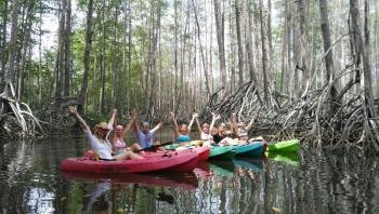  Mangroves  Kayak  Tour, South Pacific, Costa Rica